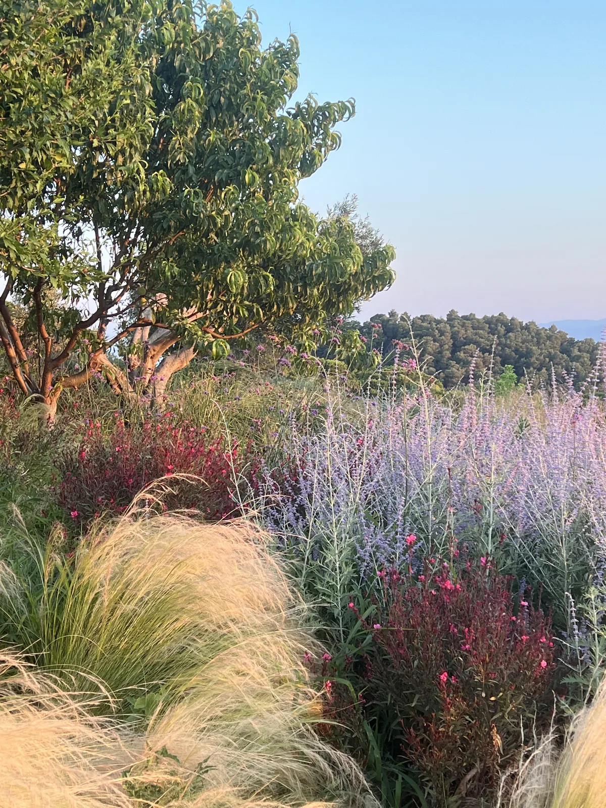 Villa Baboo – Foto 36